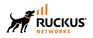 Ruckus Networks