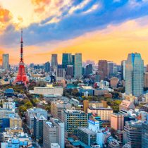 tokyo-440x440 tokyo-440x440
